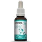 Floral para Cães e Gatos Bio Florais Lambedura e Automutilação 31mL