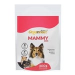 Mammy Dog Organnact para Fêmeas pó, sachê com 300g