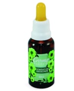 Floral Cromo Florais Domínio da Ansiedade 30mL