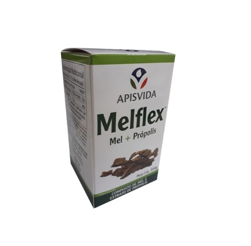 Melflex Apis Vida mel + própolis com 300g