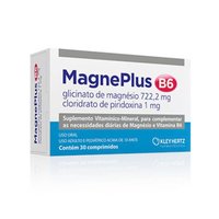 Magneplus B6