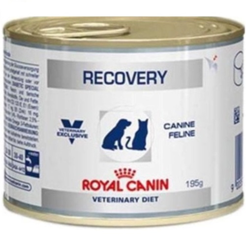 Imagem de Ração Úmida para Cães e Gatos Royal Canin Veterinary Diet Wet Recovery lata com 195g